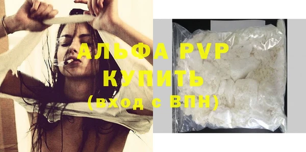 индика Надым