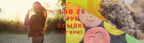 дурь Заречный