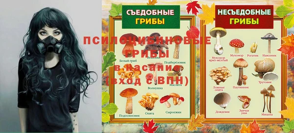 соль ск Михайловск