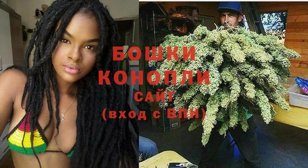 ешки Гусев