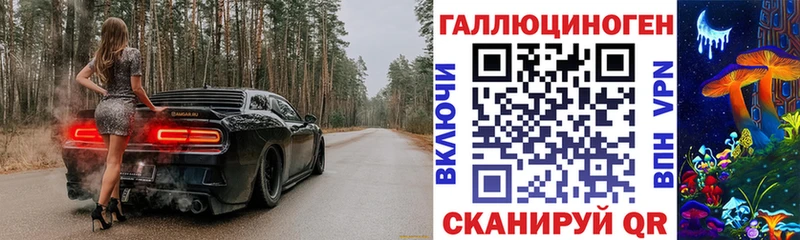 МЕГА ссылки  Озёры  Галлюциногенные грибы Psilocybe  где купить  